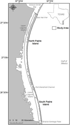 Using Lidar Data to Assess the Relationship Between Beach Geomorphology and Kemp’s Ridley (Lepidochelys kempii) Nest Site Selection Along Padre Island, TX, United States